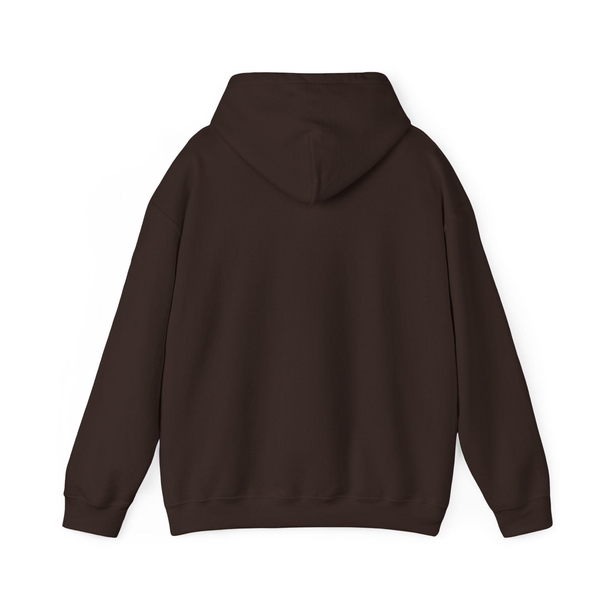 Airplane Flight Path Graphic Hoodie