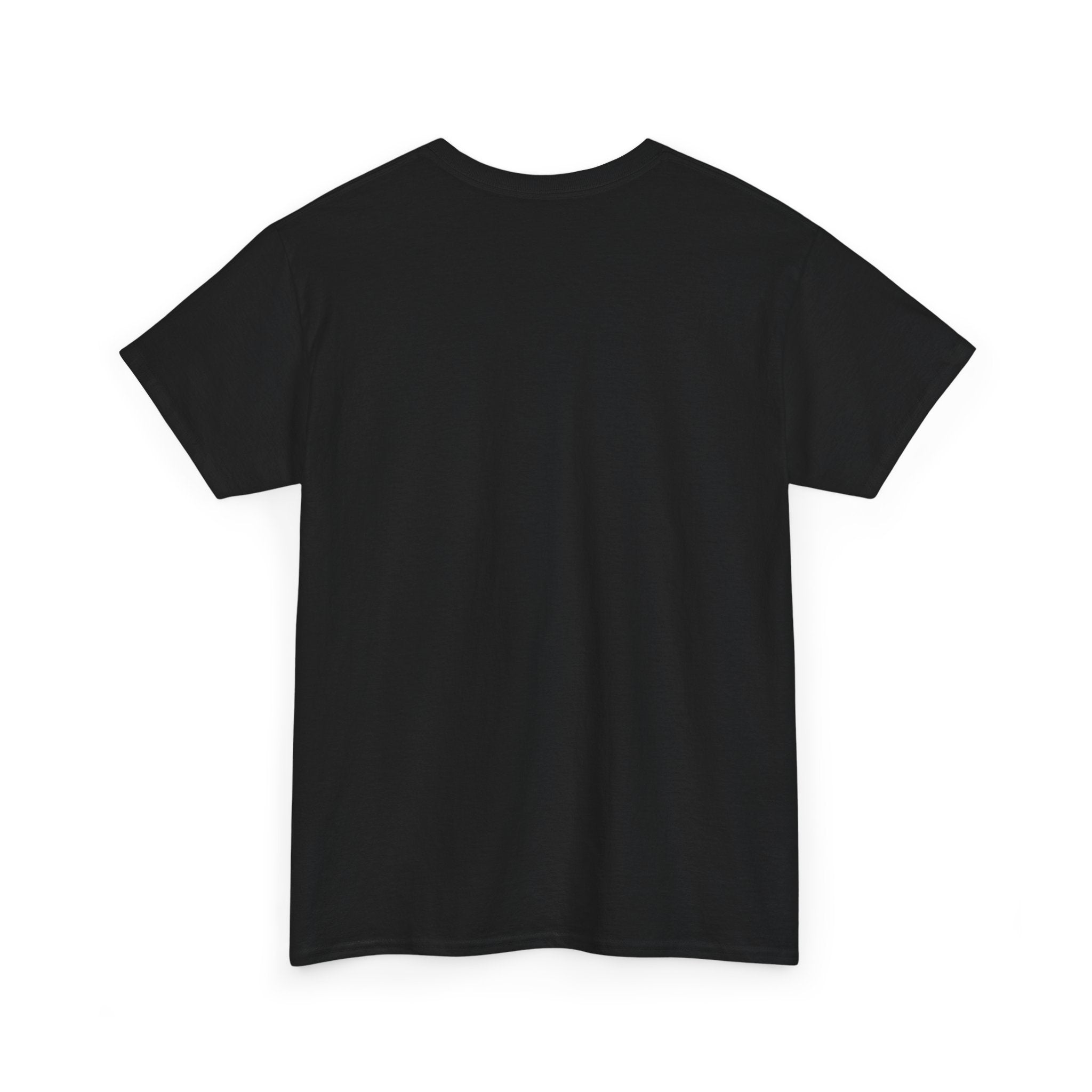 Samurai Shadow Anime Graphic T- Shirt Printify
