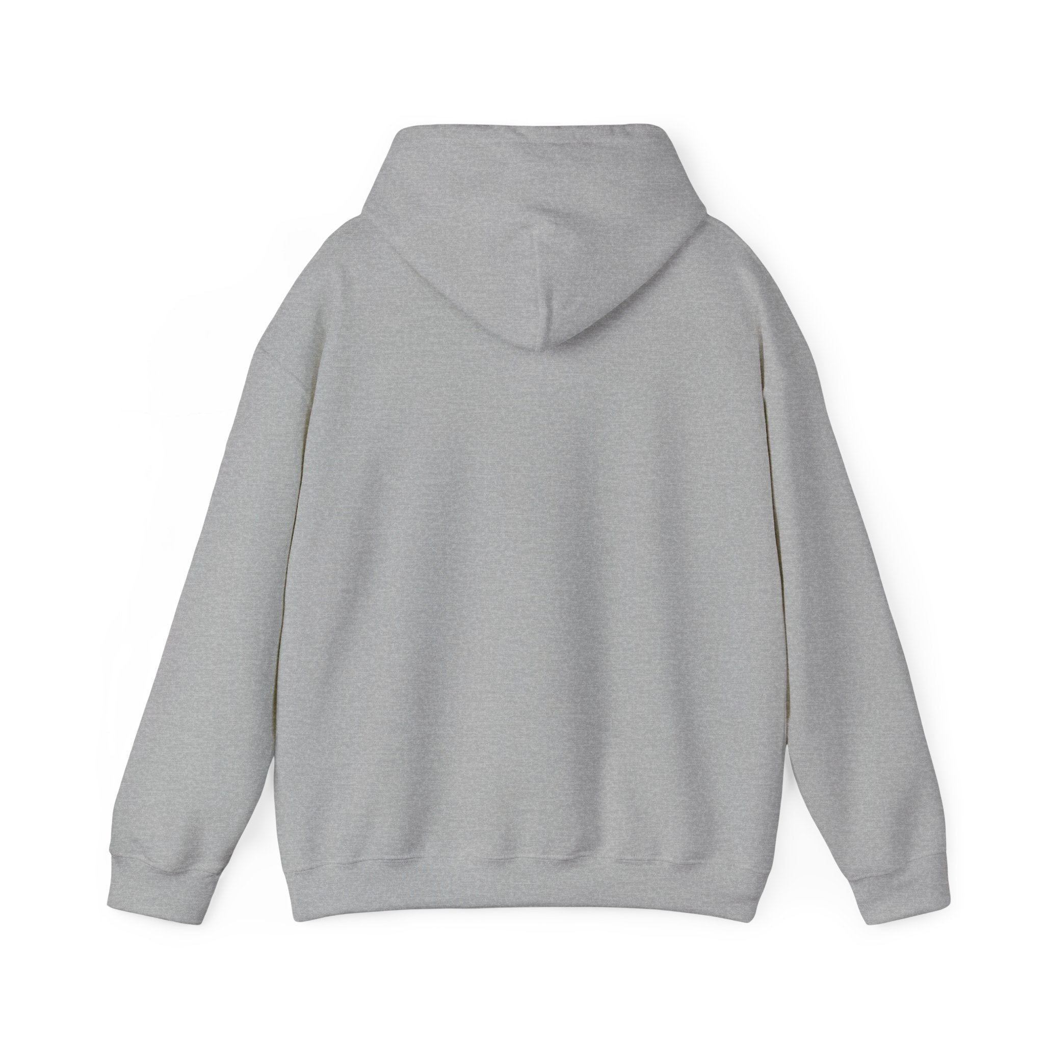 2026 New Year New Grace New Praise Hoodie Printify